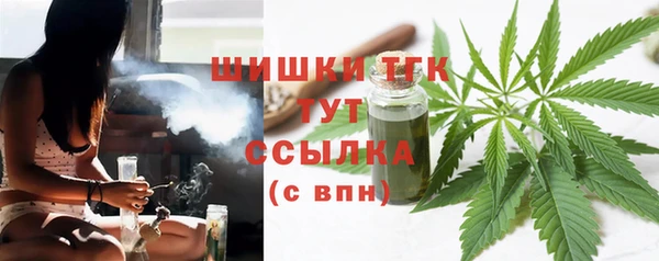 бошки Козельск