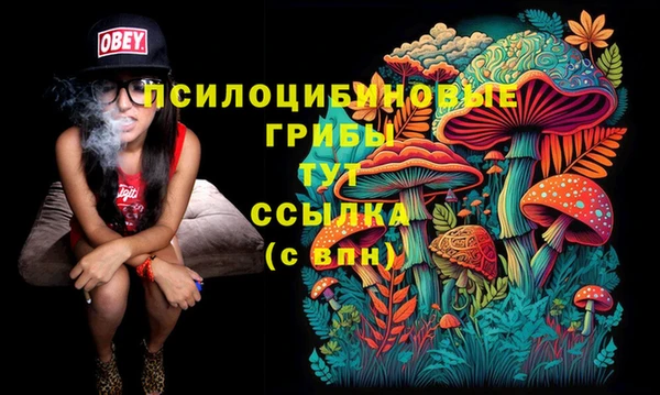 молекула духа Киренск