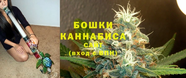 бошки Козельск