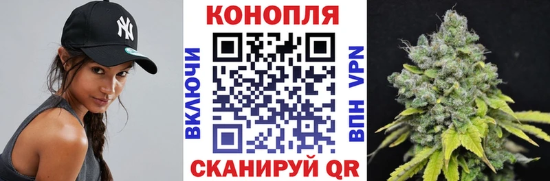 Купить где  Костомукша  Конопля семена 